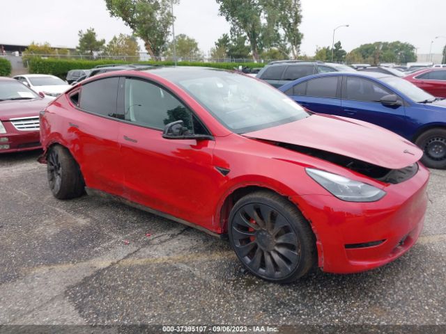 2023 TESLA MODEL Y 7SAYGDEFXPF714817