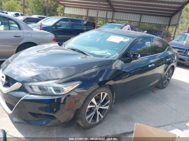 1N4AA6AP5GC904795 Nissan Maxima 3.5 Sl