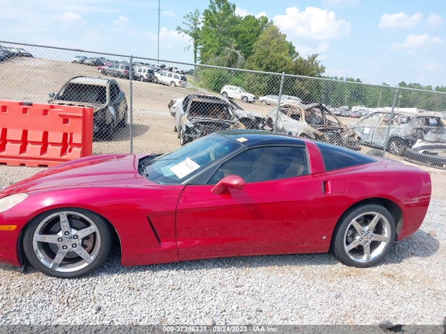 2005 CHEVROLET CORVETTE VIN: 1G1YY24U755103567