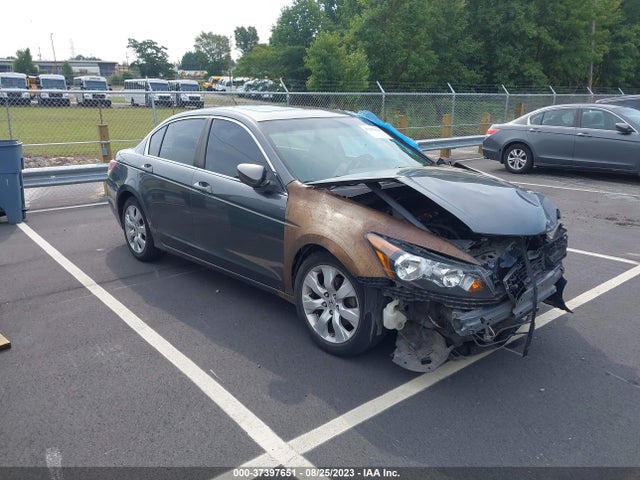 2010 HONDA ACCORD SDN EX-L VIN: 1HGCP2F8XAA141186