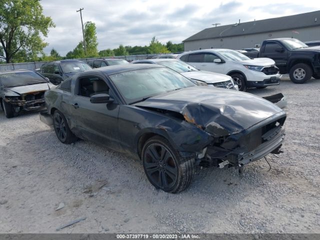 1ZVBP8AMXE5283681 auction archive image