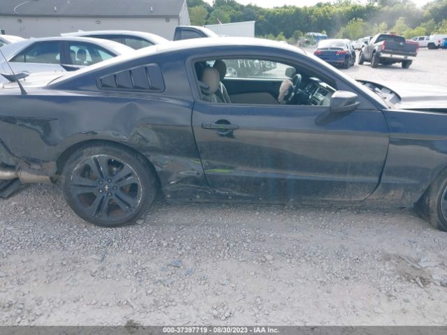 1ZVBP8AMXE5283681 Ford Mustang V6