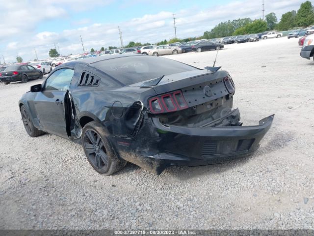 1ZVBP8AMXE5283681 Ford Mustang V6