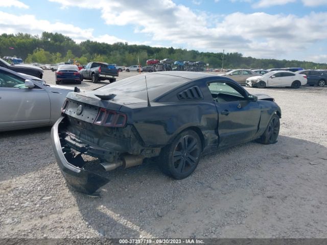 1ZVBP8AMXE5283681 Ford Mustang V6
