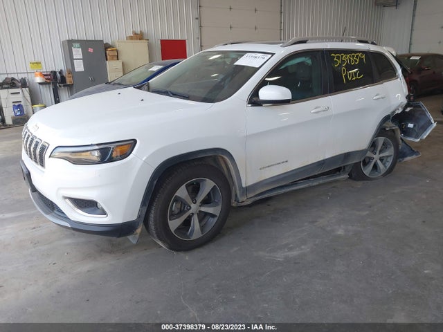 Jeep Cherokee Limited 4x4 2019 1C4PJMDX1KD456675 Image 2