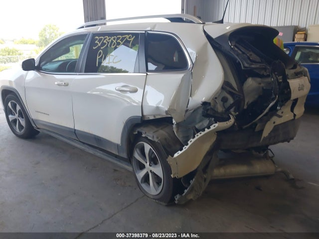 Jeep Cherokee Limited 4x4 2019 1C4PJMDX1KD456675 Image 3