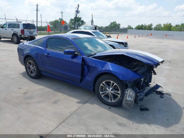 1ZVBP8AM6E5221677 auction archive image