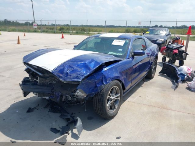 1ZVBP8AM6E5221677 Ford Mustang V6
