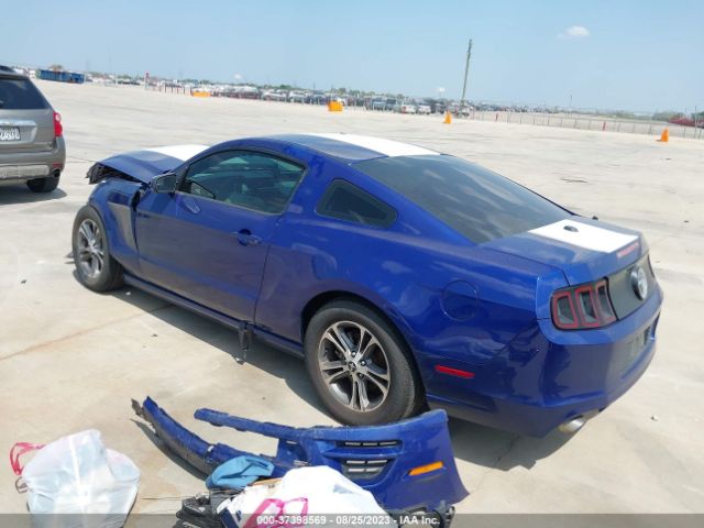 1ZVBP8AM6E5221677 Ford Mustang V6