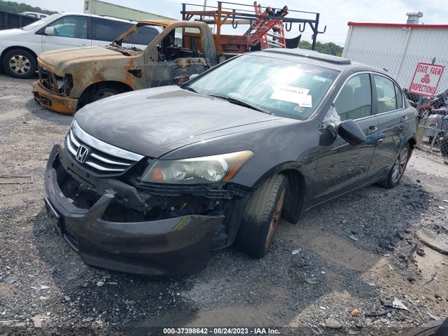 2011 HONDA ACCORD SDN EX-L VIN: 1HGCP2F84BA102627