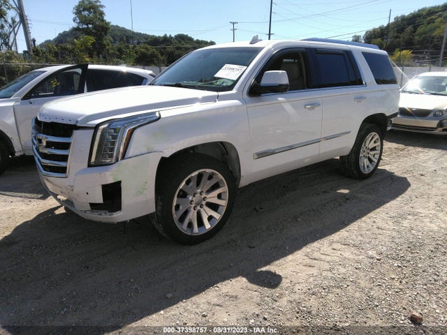 1GYS4BKJ3GR477827 Cadillac Escalade Luxury Collection