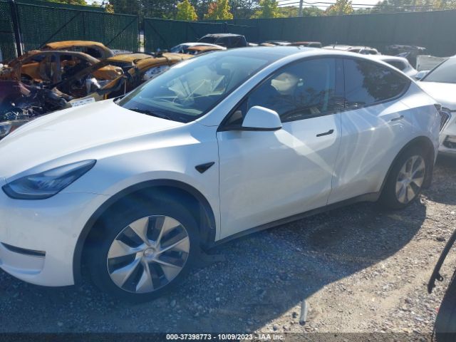5YJYGDEE0MF208753 Tesla Model Y Long Range