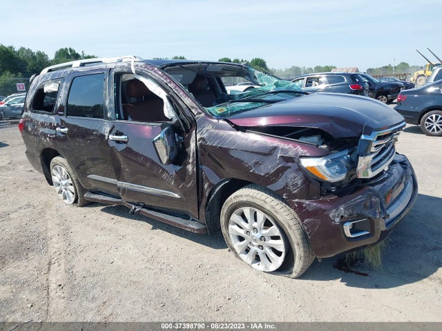 2019 Toyota Sequoia, VIN: 5TDDY5G19KS174235