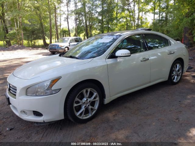 1N4AA5AP5EC488108 Nissan Maxima 3.5 Sv W/premium Pkg