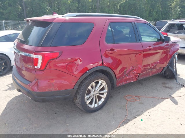 Ford EXPLORER XLT 2019 1FM5K8D88KGB03655 Image 4