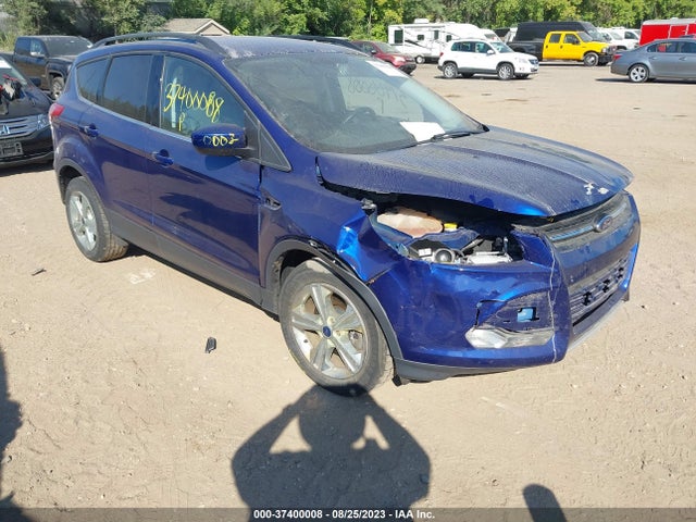 2014 1FMCU9G97EUD81691 главное изображение