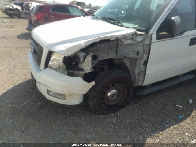2005 FORD F-150 XL/STX/XLT VIN: 1FTRF12W05NA98406