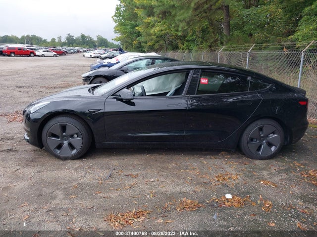 2023 Tesla 3, VIN: 5YJ3E1EA1PF554956