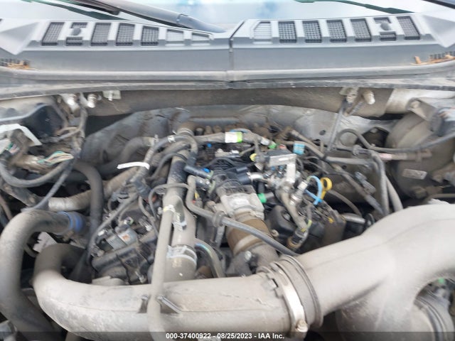 2019 FORD F-150 XL/XLT/LARIAT VIN: 1FTEW1EP4KFB97402