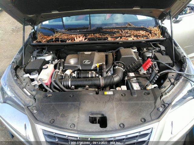 2021 Lexus NX, VIN: JTJDARDZ6M2244173