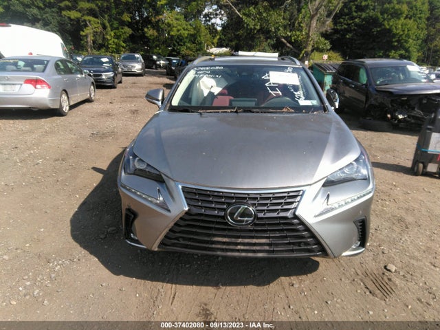 2021 Lexus NX, VIN: JTJDARDZ6M2244173
