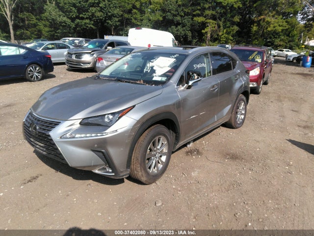 2021 Lexus NX, VIN: JTJDARDZ6M2244173