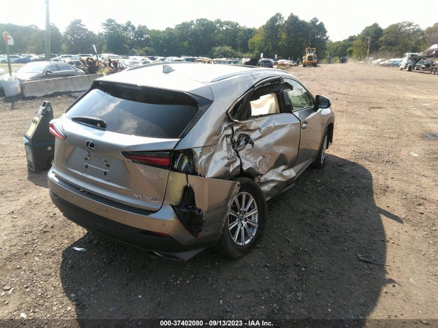 2021 Lexus NX, VIN: JTJDARDZ6M2244173