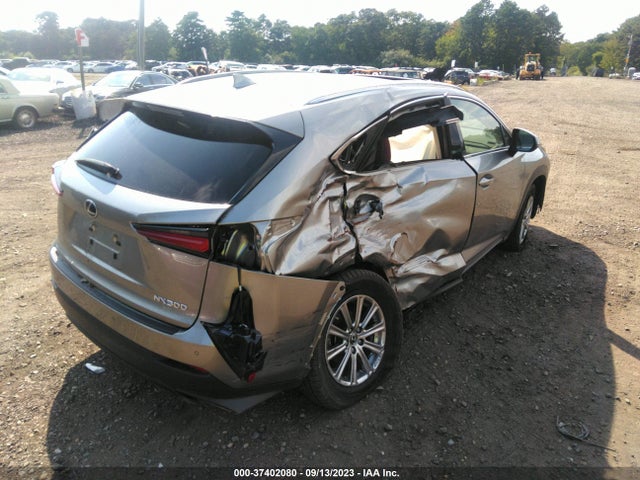 2021 Lexus NX, VIN: JTJDARDZ6M2244173