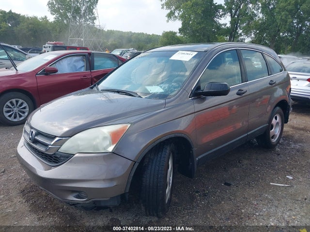2010 HONDA CR-V LX VIN: 5J6RE4H30AL063284