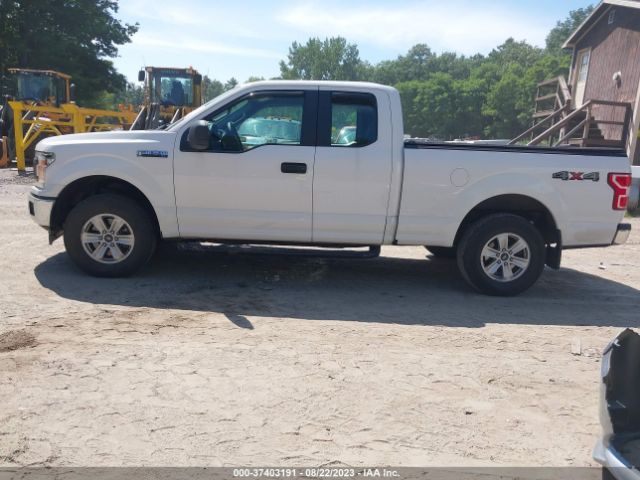 1FTEX1EB9JKD48905 Ford F-150 Xl/xlt