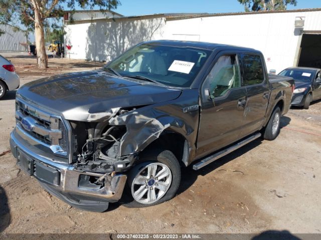 1FTEW1C84GKF84624 Ford F-150 Xlt/xl