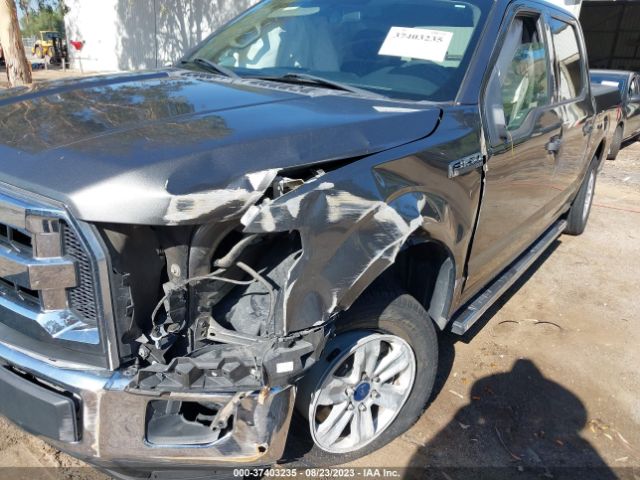 1FTEW1C84GKF84624 Ford F-150 Xlt/xl