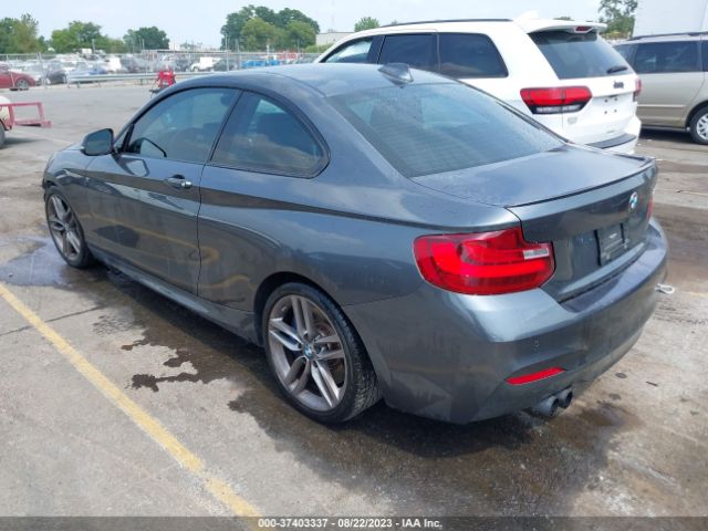 WBA1F9C51GV545391 BMW 2 Series 228i