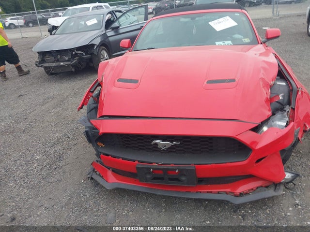 2019 FORD MUSTANG ECOBOOST VIN: 1FATP8UH1K5158737