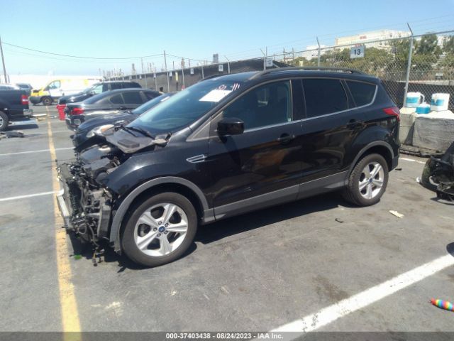 1FMCU0GX7EUB47075 Ford ESCAPE SE