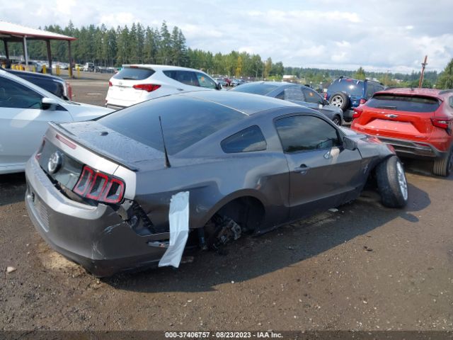 1ZVBP8AM4E5294904 Ford Mustang V6