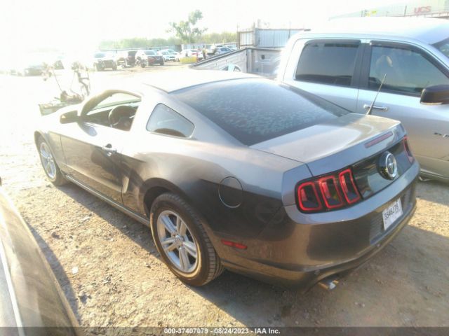 1ZVBP8AM3E5332042 Ford Mustang V6