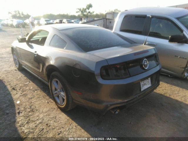 1ZVBP8AM3E5332042 Ford Mustang V6