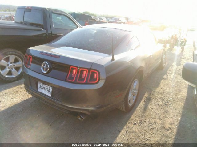 1ZVBP8AM3E5332042 Ford Mustang V6