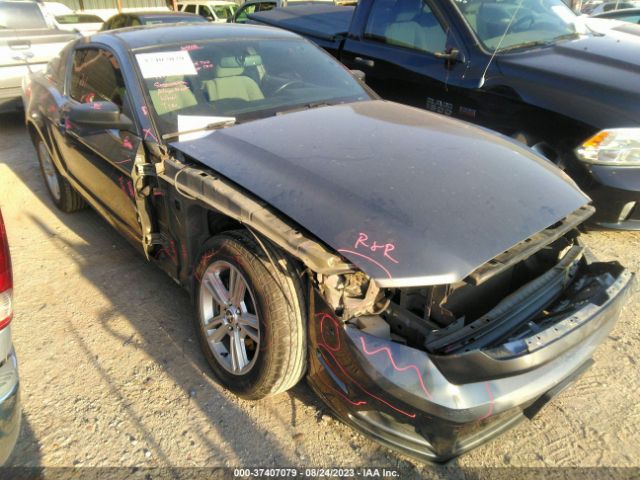 1ZVBP8AM3E5332042 Ford Mustang V6