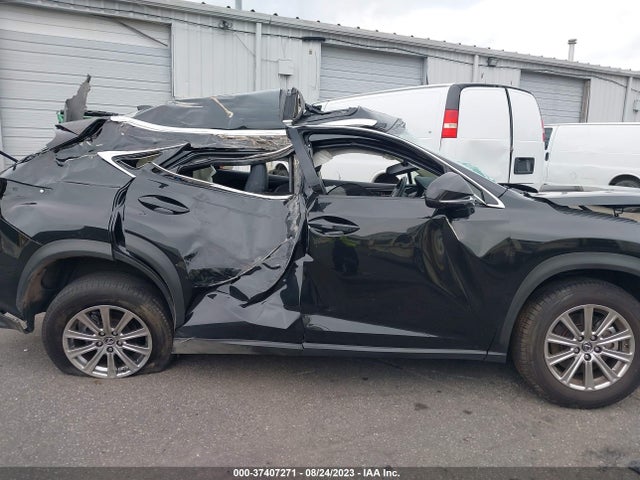 2020 Lexus NX, VIN: JTJDARDZ5L5012628