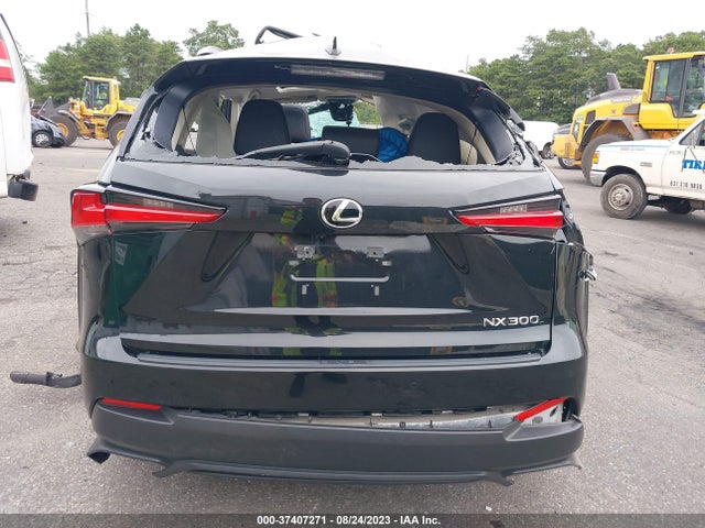 2020 Lexus NX, VIN: JTJDARDZ5L5012628