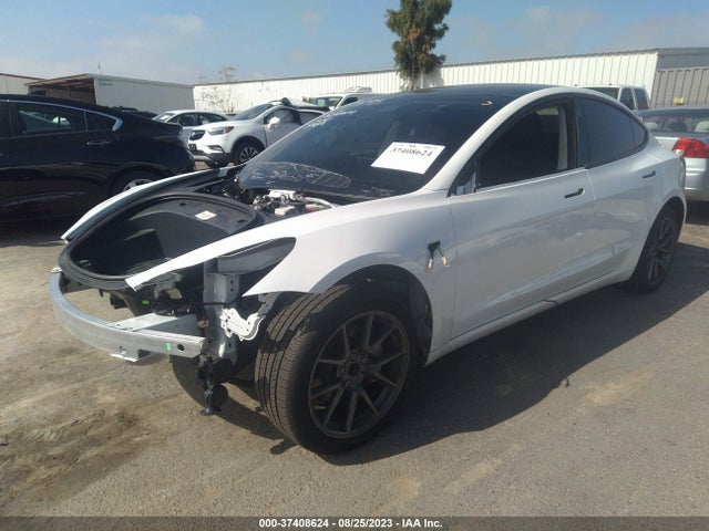 Tesla MODEL 3 2023 5YJ3E1EAXPF408037 Image 2