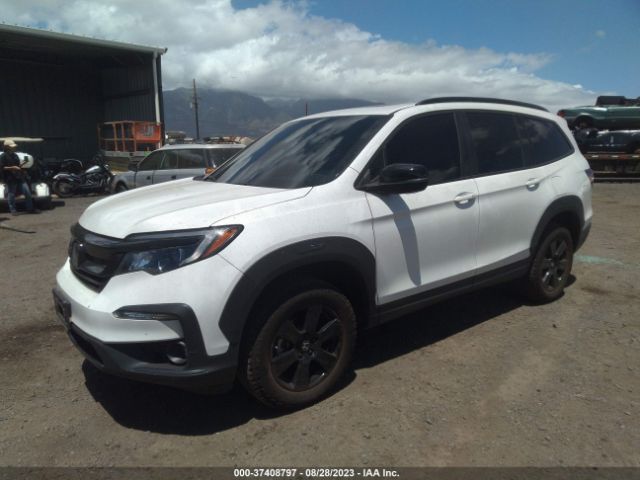 5FNYF6H89NB036759 Honda Pilot Trailsport
