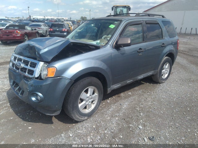 2011 FORD ESCAPE XLT VIN: 1FMCU0DG9BKA03586