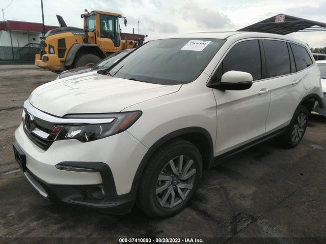 2019 HONDA PILOT EX-L W/NAVI & RES VIN: 5FNYF5H48KB027506
