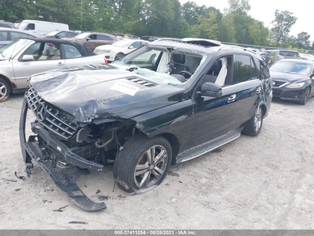 4JGDA5HB2FA509894 Mercedes-Benz M-class Ml 350