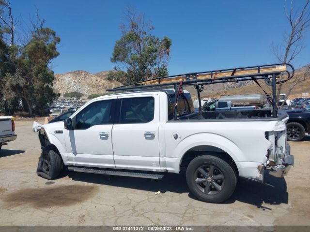 1FTEW1C88FKD81329 Ford F-150 Xlt/xl