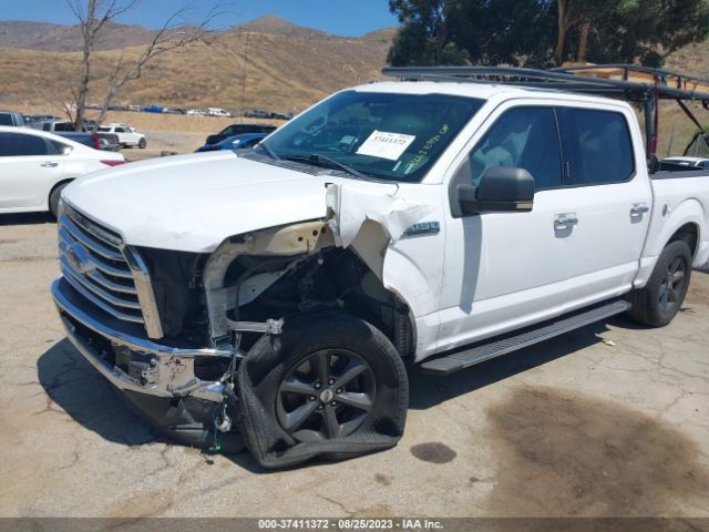 1FTEW1C88FKD81329 Ford F-150 Xlt/xl