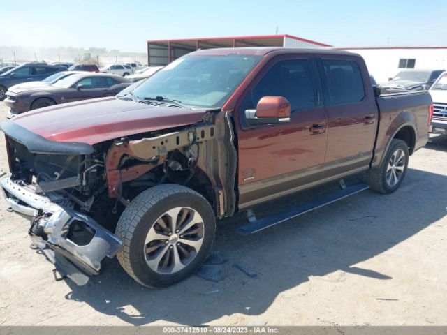 1FTEW1EG8GFA83992 Ford F-150 Xlt/xl/lariat/platinum